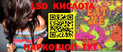 твердый Будённовск