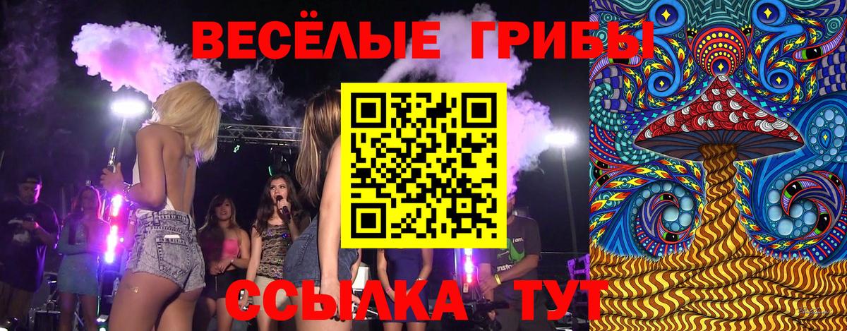 Псилоцибиновые грибы MAGIC MUSHROOMS Заволжье