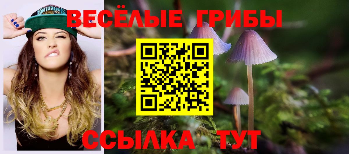 купить   Вход с VPN  Заволжье  Псилоцибиновые грибы Psilocybe 